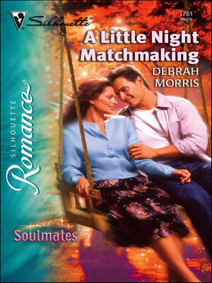 A Little Night Matchmaking - ebook